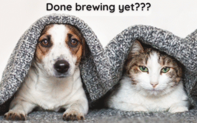 ☕📚 Coffee First, Socializing… Maybe Never: 3 Reasons Coffee & Introverts Just Get Each Other