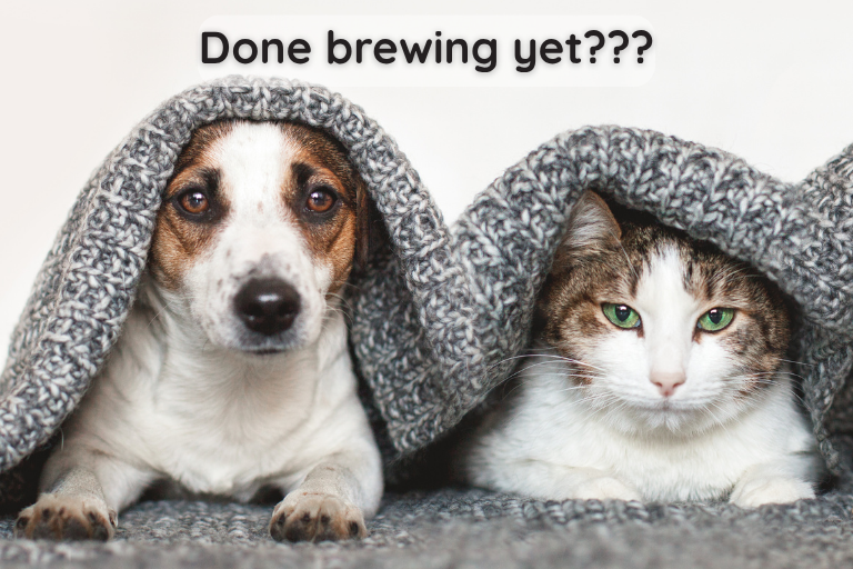 ☕📚 Coffee First, Socializing… Maybe Never: 3 Reasons Coffee & Introverts Just Get Each Other